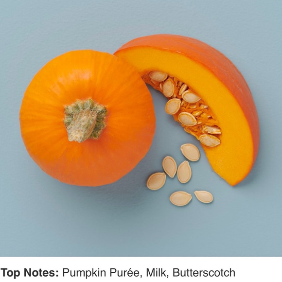 Large YANKEE CANDLE Whipped Pumpkin Spice 22 oz - Picture 3 of 11